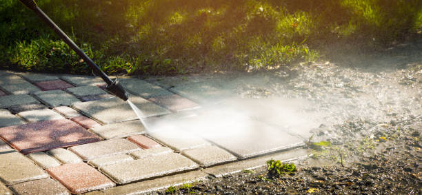Best Gutter Cleaning  in Mayville, MI